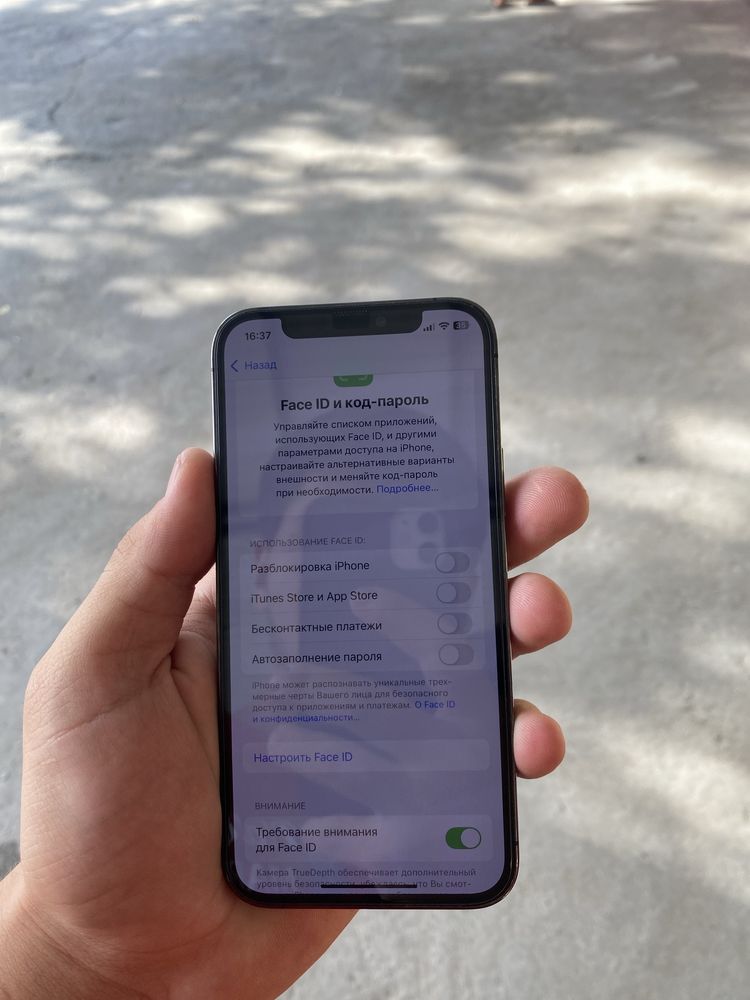 Iphone 12 pro 256 gb