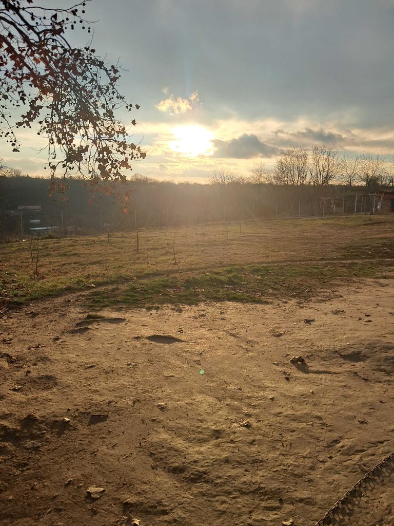 Продава се Парцел в с. Калипетрово, Област Силистра - 1176 кв.м за 15 €/кв.м - Снимка #3