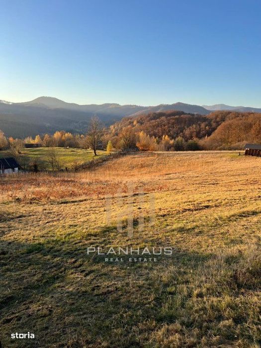 Teren extravilan Izvoare Maramures , zona Vidra , ideal pentru cabană