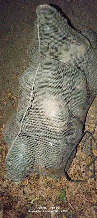 Заберите  банки 2ухлитровые ,мешок бесплатно. В Красном Яре,