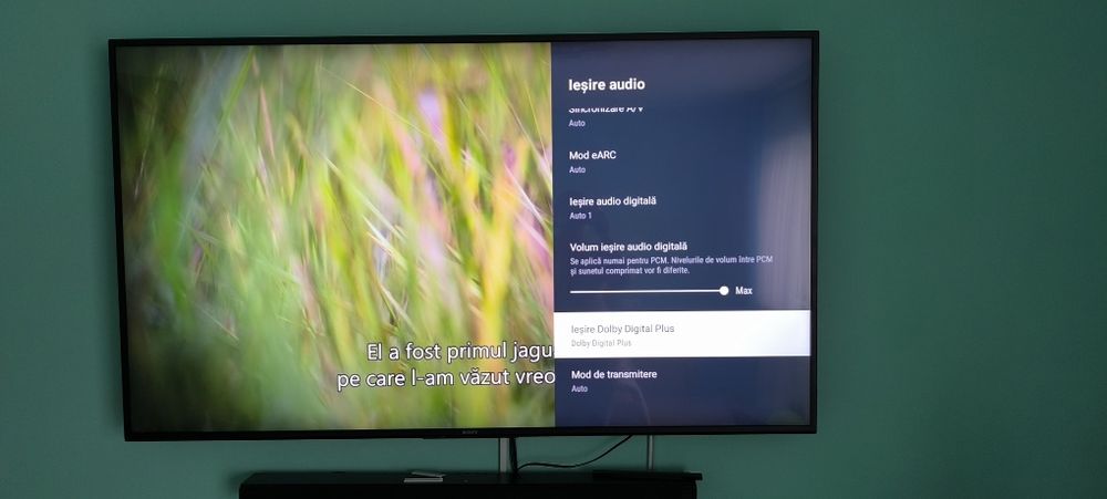 Soni Bravia 4K, 164 diagonală