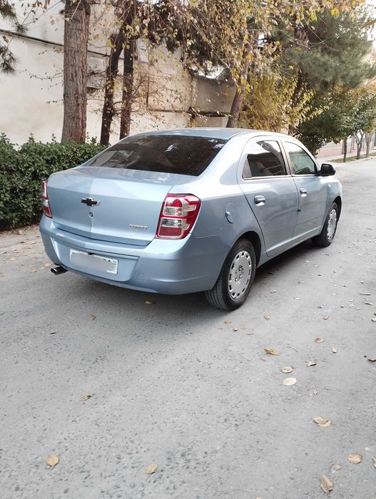 Кобальт люкс кондиционер,Пропан-4