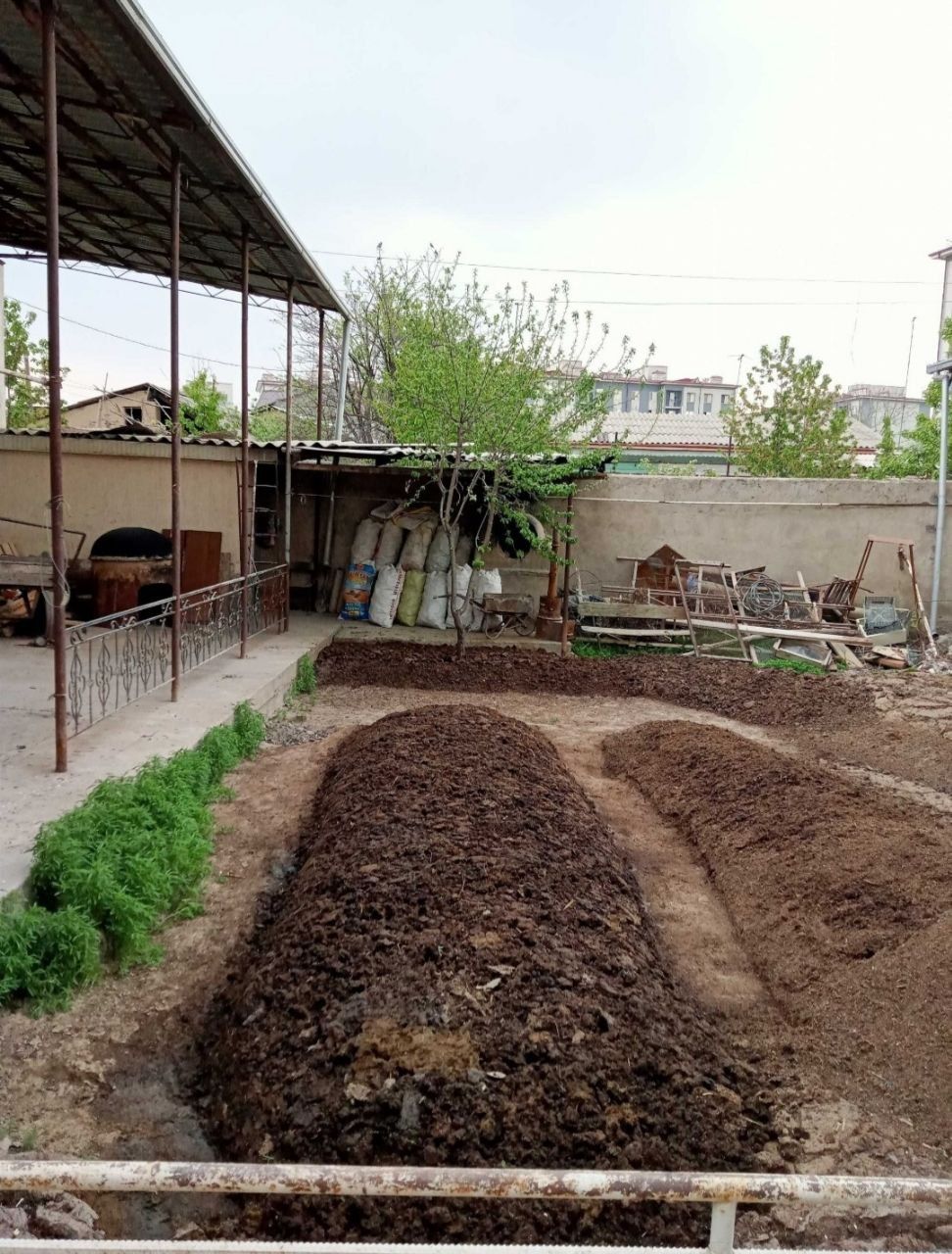 Биогумус Biogumus organik o'git