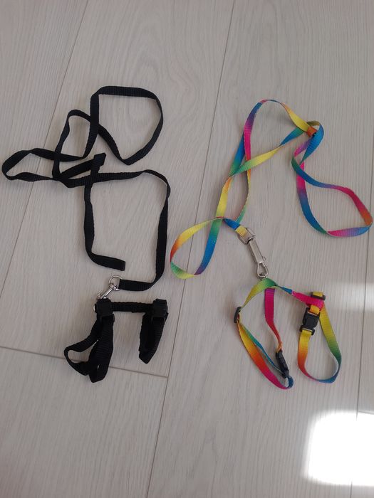 Шлейки кот кошка котёнок собака пёс щенок