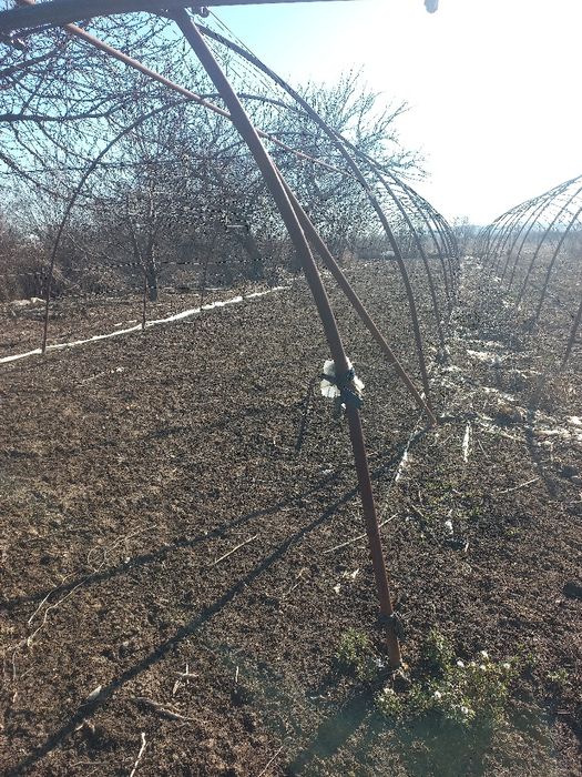 Оранжерии 20м.3в.5.4ш