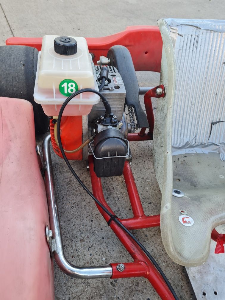 Kart promo bb copii 4-6 ani