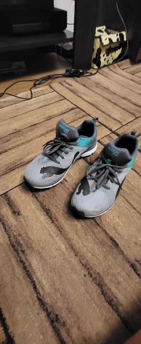 Puma numar  42  1/2