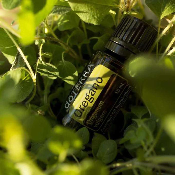 Ulei esential Oregano doTERRA 15 ml