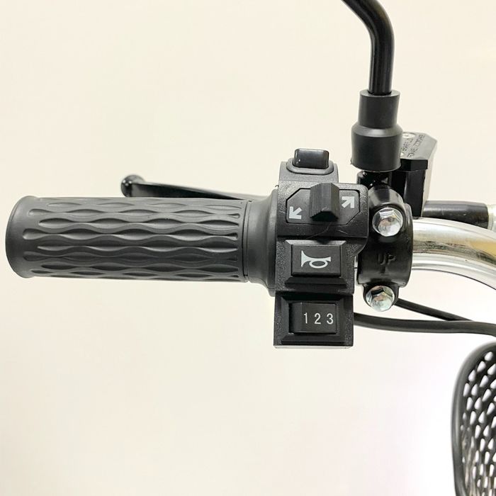 Электровелосипед, GreenCamel Транк Монстер.