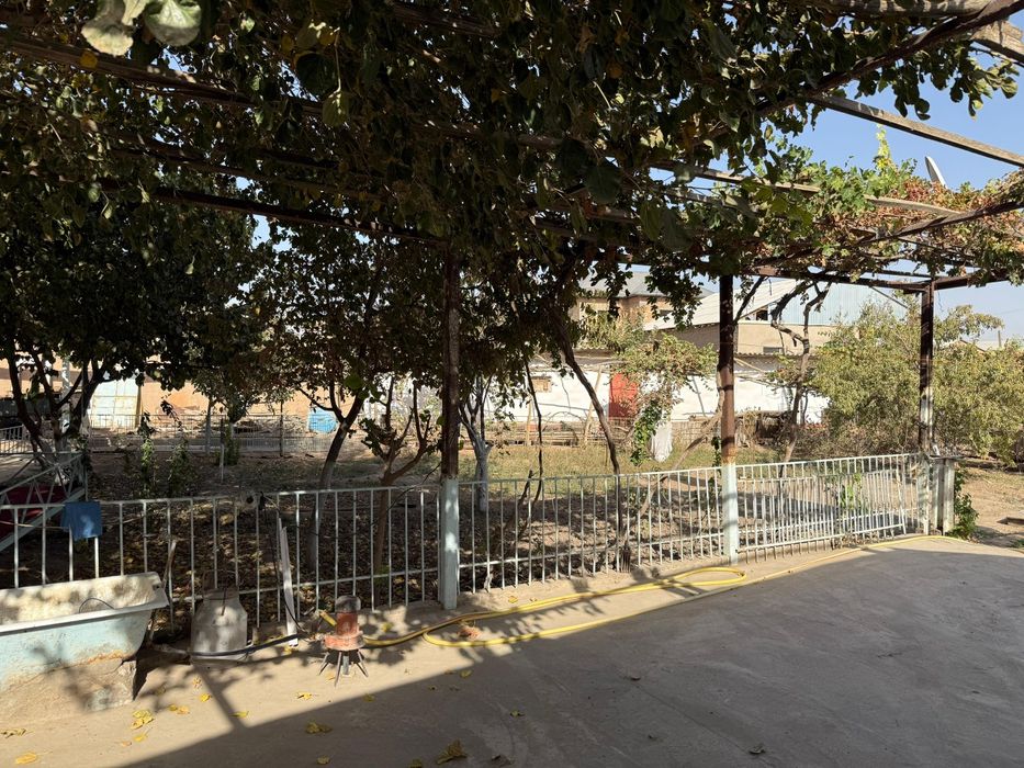 Продается дом с участком