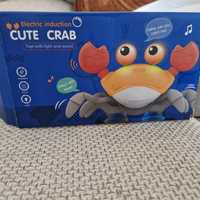 Crabul dansator 4+