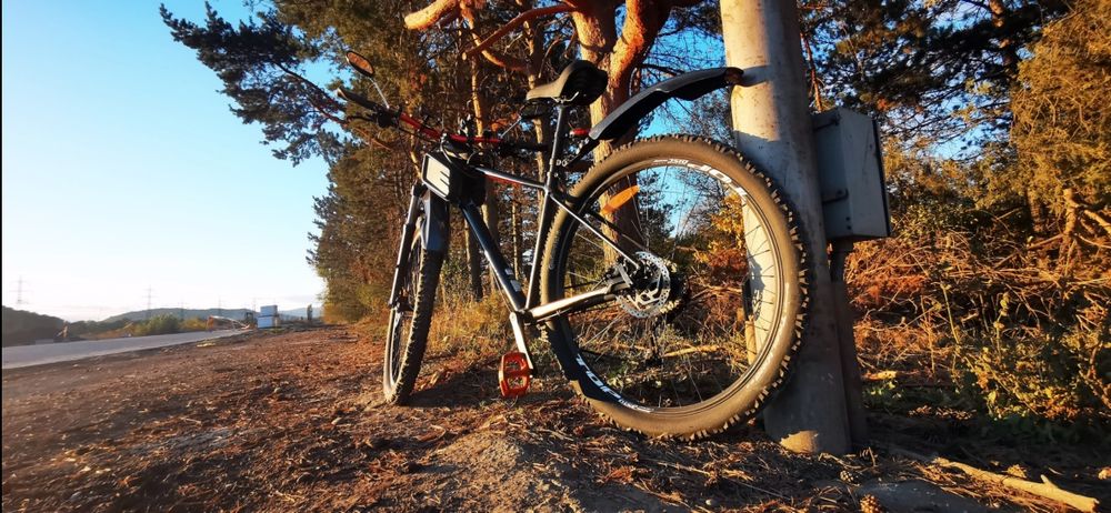 Canondail Trail 7 2021