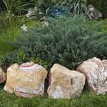 Bolovani decorativi de  gradina