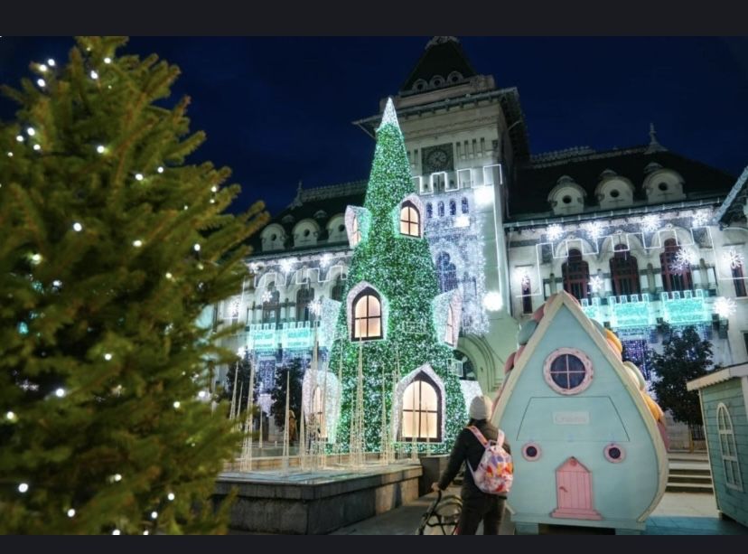 Excursii Targul de Craciun-Craiova si Brașov