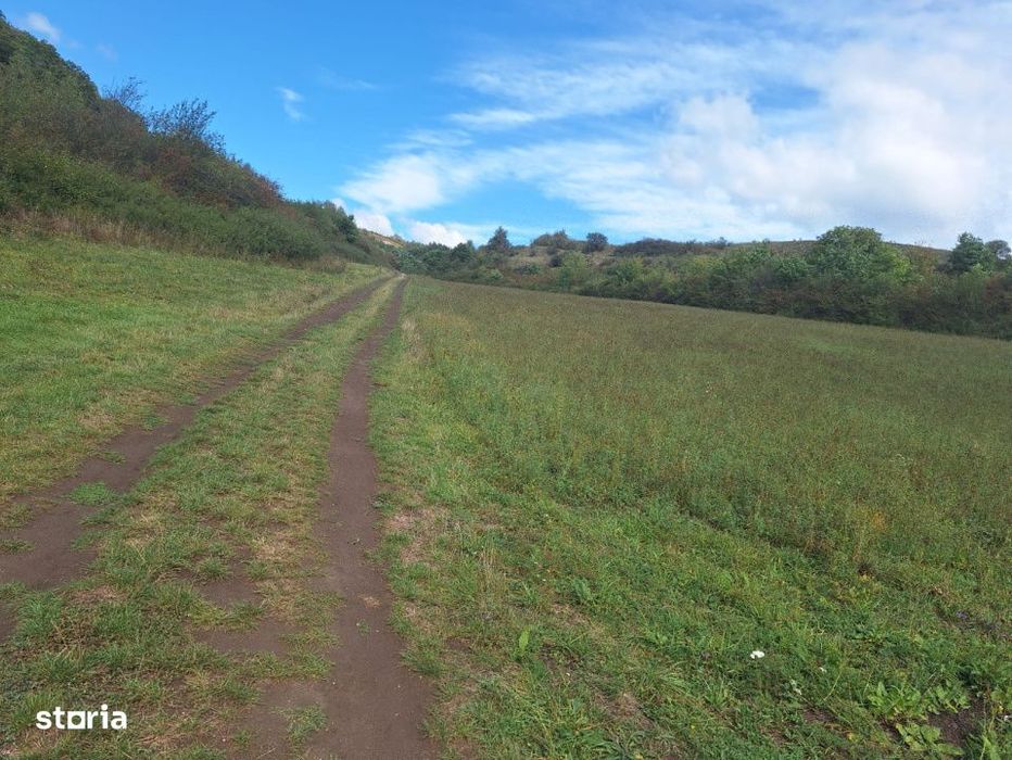 Teren extravilan 700mp in Gusterita.
