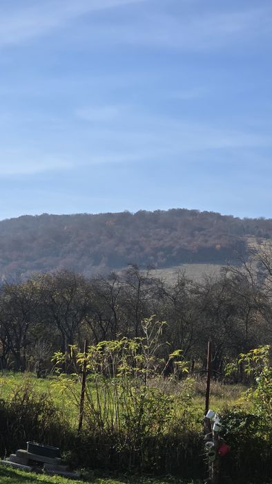 Vand padure FAG - 3 Hectare