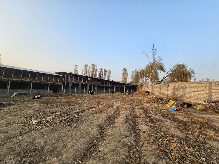 Mol uchun tayyor ferma maydoni sotiladi