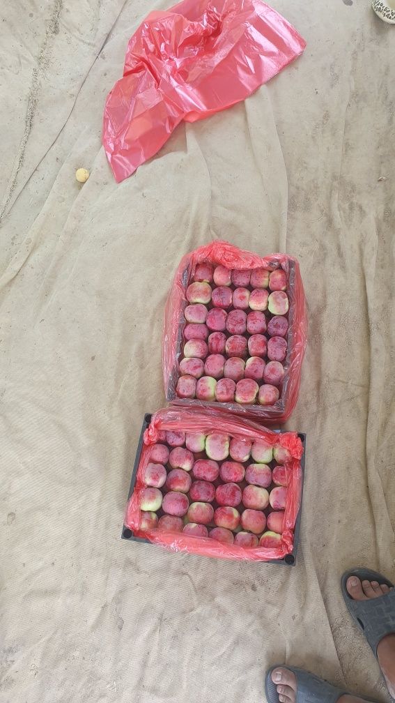 Chang olma haladilnikda sovugan 1haftadan beri