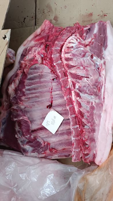 Продам свежую свиную переднюю часть.