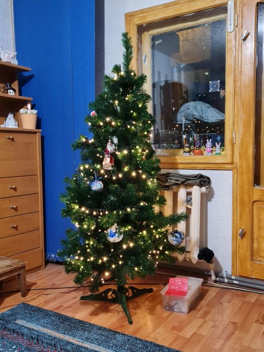 Vând brad de Crăciun