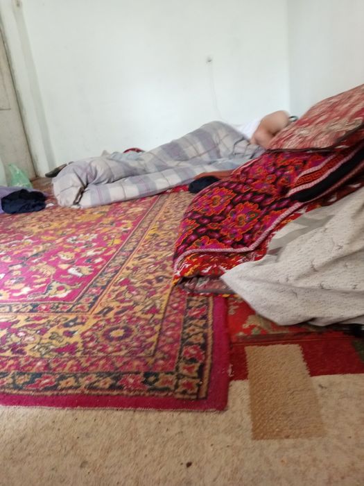 Arenda kvartera bollarga