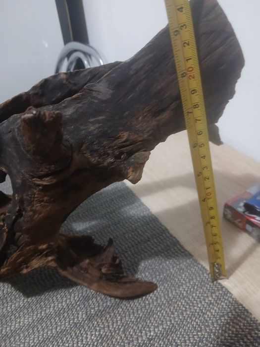 Acvariu pentru pești