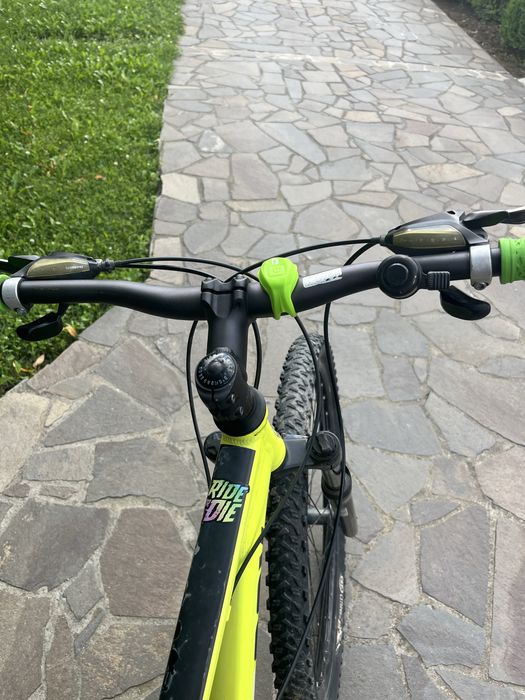 Diamondback scree 1.0