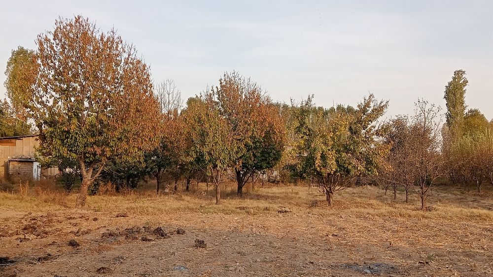 Sotiladigan uchaska bor