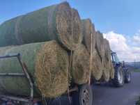 Baloți de lucernă