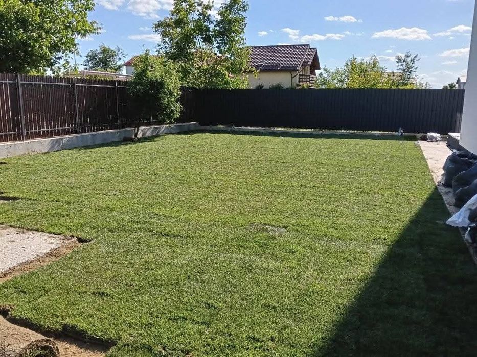 Amenajăm curți gazon rulou sport