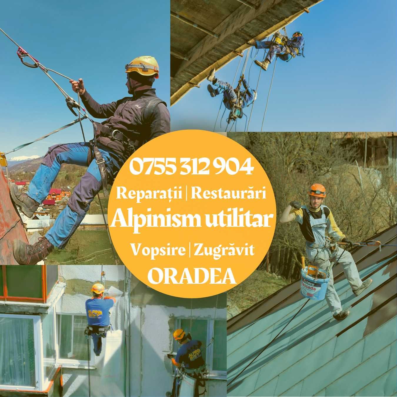 Alpinism utilitar - Reparatii |Restaurări |Toaletare |Vopsire - Oradea
