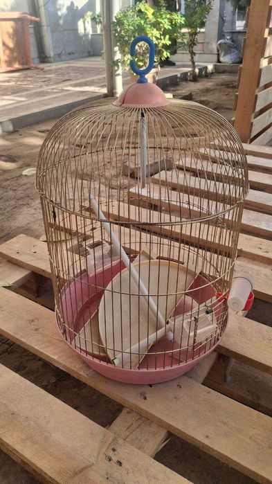 Клетка для попугая высокая
Клетка для попугая высокая