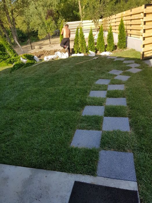 Gazon rulou sport/ tuia Smaragd/ asiguram transport și montaj