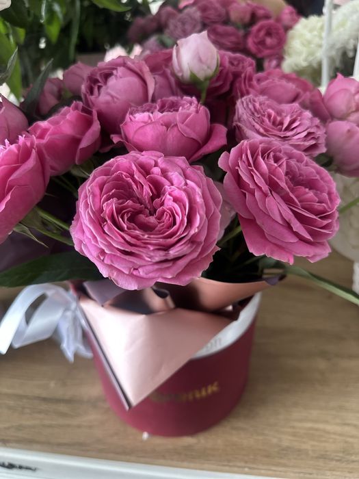 Продам цветы красивые