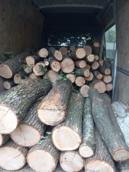 Lemne de foc, stejar