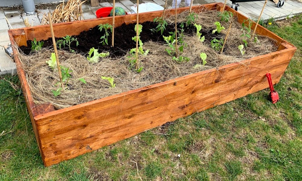 Lada de legume, straturi, gradinarit eco, mulcire (raised bed)