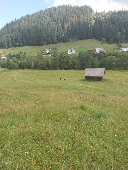 Teren 24134 mp Ciocanesti, Jud. Suceava