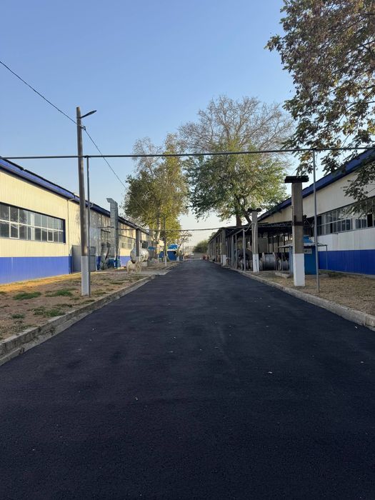 Supper narxda Asfalt xizmatlari