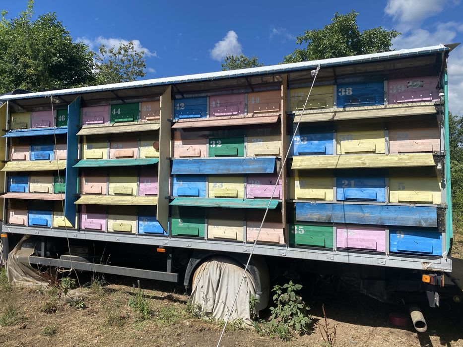 Stupina Apicola  camion MAN 7.5 tone