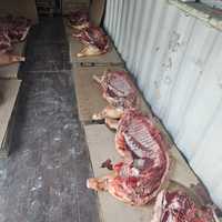 Мясо свинина домашняя на заказ тушами 1550
