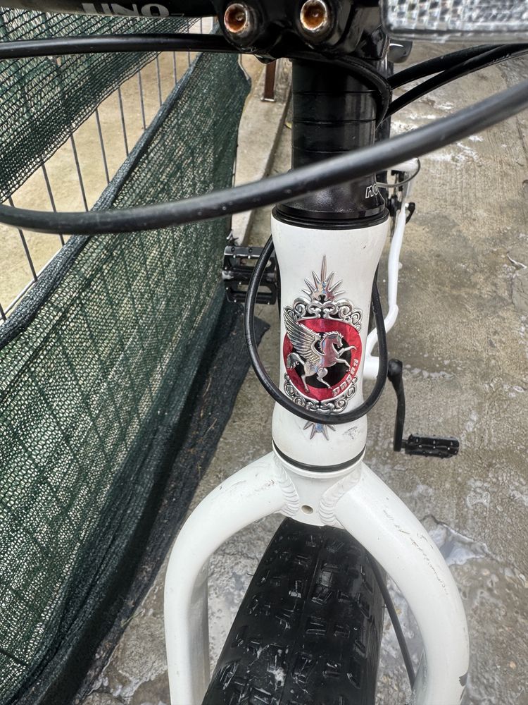 Fat Bike Pegasus