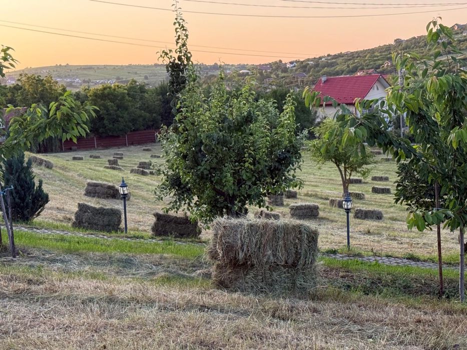 Vand Baloti paie fan calitate excelenta