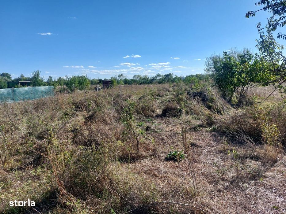 COMISION 0 Teren intravilan 1903  mp, Aninoasa, Viforata