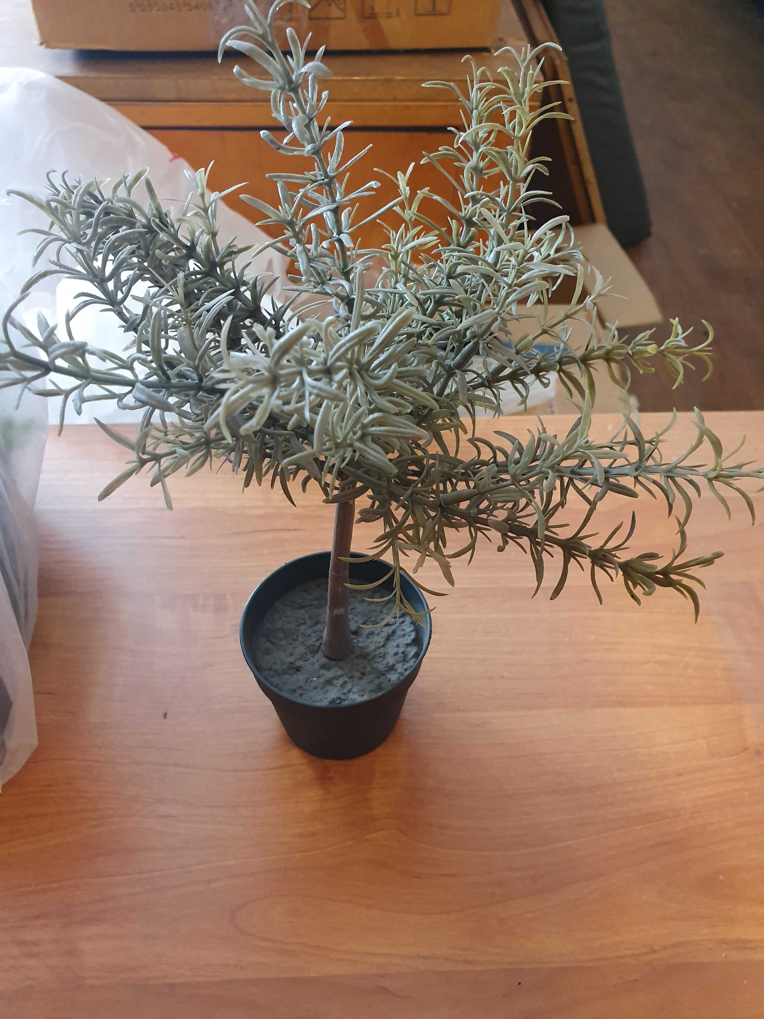 искусственное растение ikea