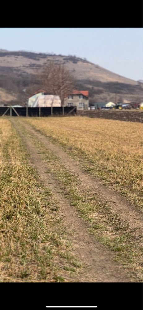 Vand teren intravilan la 5 minute de aiud , miraslau strada principala