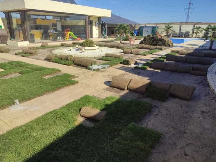 Gazon Rulou Calitate extra