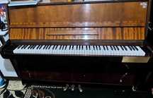 Pianino lastochka