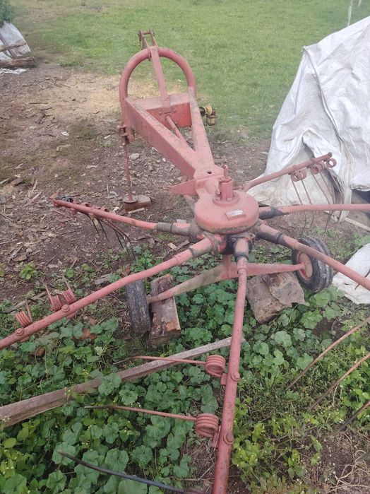 Vand grebla kuhn pe baie de ulei