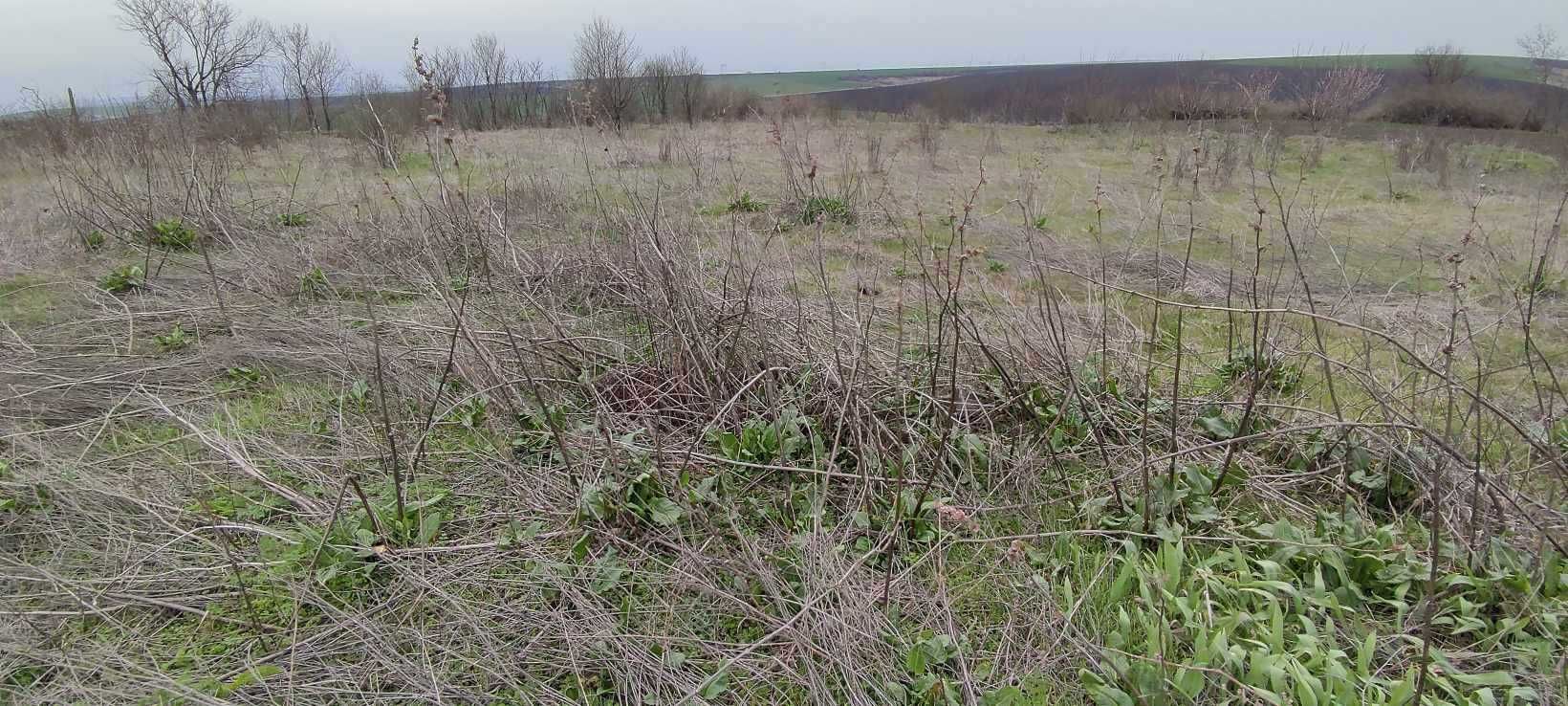 Къща с дворно място в село Здравец,8бл. Хасково