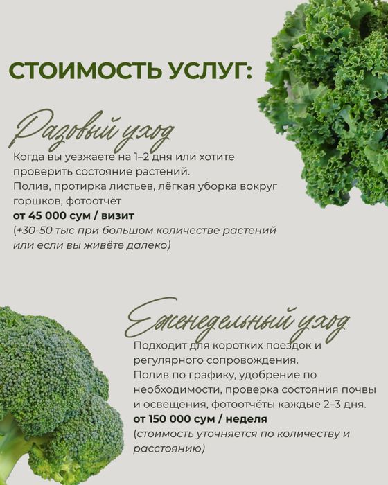Уход за цветами | Ташкент